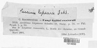 Image Associated With the Occurence